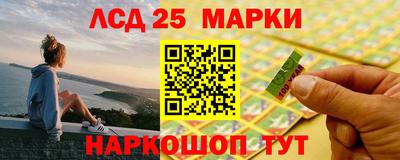 стаф Кандалакша