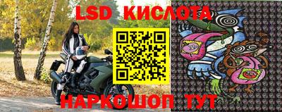 стаф Кандалакша