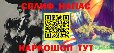 шишки Камышлов