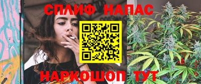 шишки Камышлов