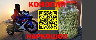 шишки Камышлов