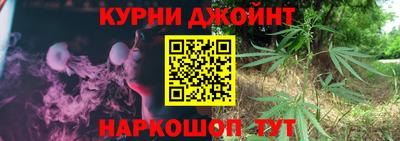 шишки Камышлов