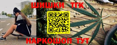 шишки Камышлов