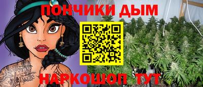 стаф Кандалакша