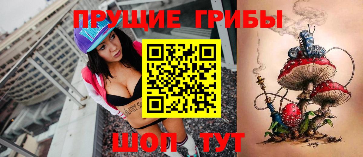 Галлюциногенные грибы прущие грибы Ленинск-Кузнецкий