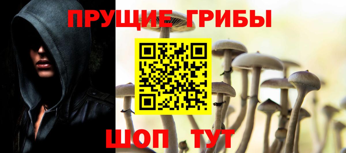 Галлюциногенные грибы MAGIC MUSHROOMS  Вход с VPN  Ленинск-Кузнецкий 